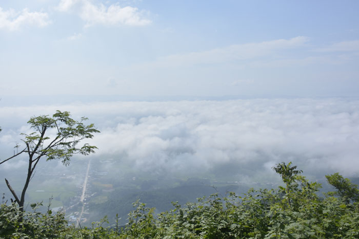 公司组织员工利川之旅